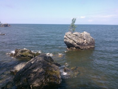 WP_000037.jpg