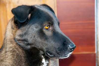DSC_6428_новый размер.jpg