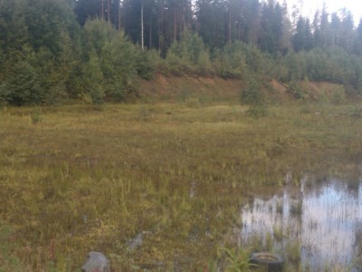 WP_000165.jpg