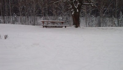 DSC01215 (Копировать).JPG