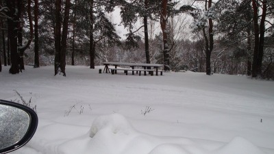 DSC01231 (Копировать).JPG