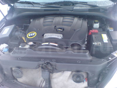 ttn_61798614.jpg