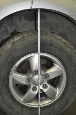 зад лев 003.JPG