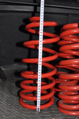 пруж зад лин.JPG