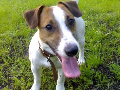 15072008050 [Разрешение рабочего стола].jpg