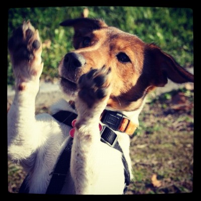 фотография (2).JPG