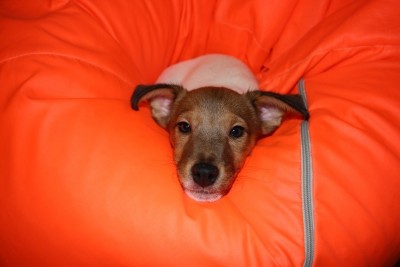 фотография (4).JPG