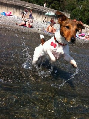 фотография (3).JPG