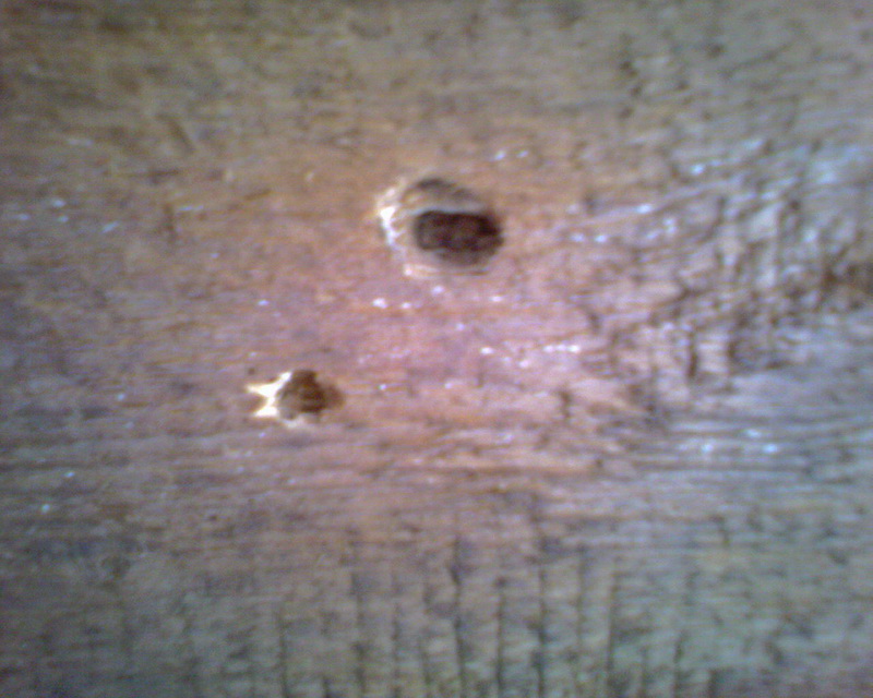 20090108_150458.jpg