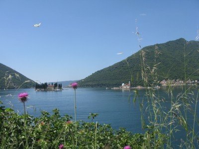IMG_2858.JPG