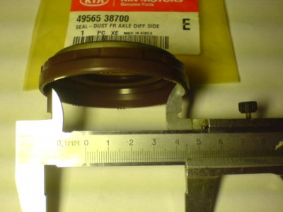DSC02638.JPG