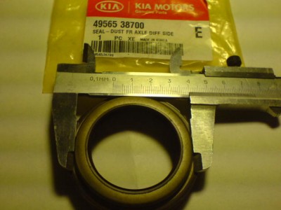 DSC02639.JPG