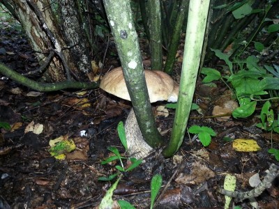 20130727_160227.jpg