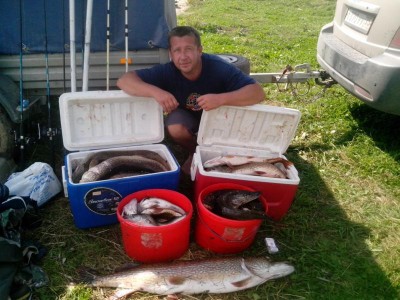 IMG_20130807_150904_800x600.jpg