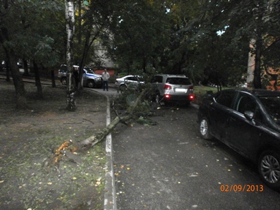 P9020047.....JPG