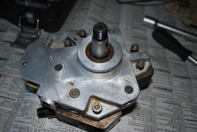 DSC_6017.jpg