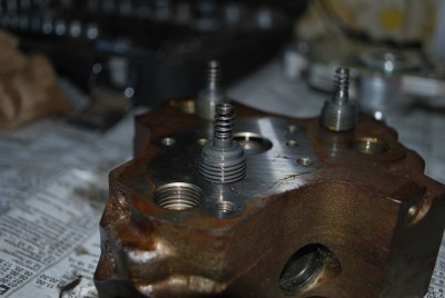 DSC_6029.jpg