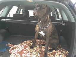 2014-03-19 13.23.18.jpg