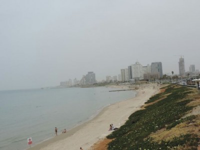 IMG_201405065577.jpg
