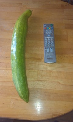 IMAG0397.jpg