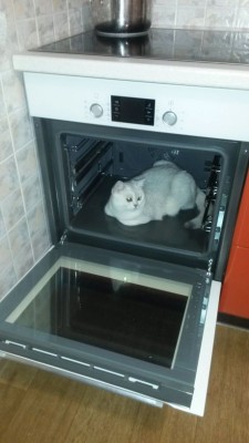 imag3056.jpg (57.79 КБ) Просмотров: 3833 imag3056.jpg