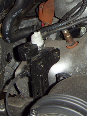 SDC11233.JPG