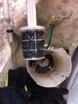 сетка.jpg (59.81 КБ) Просмотров: 9562 сетка.jpg