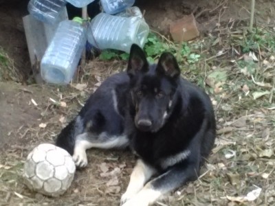 нам 8 месяцев 2.jpg