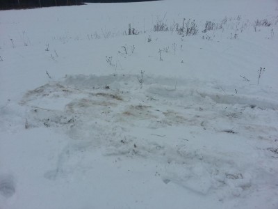 20150117_130333.jpg