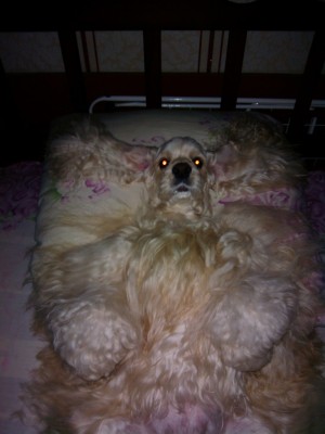 на кровати.jpg