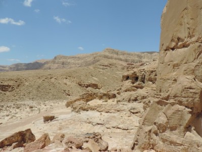 2014 141 (600 x 450).jpg