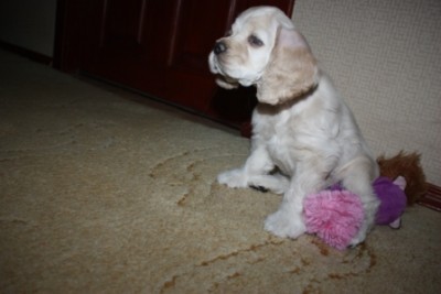 IMG_3825 — копия.JPG