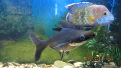 IMG_0901.JPG