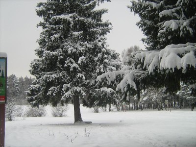 IMG_1100.JPG