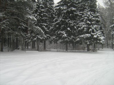 IMG_1103.JPG