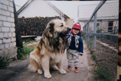 image.jpg