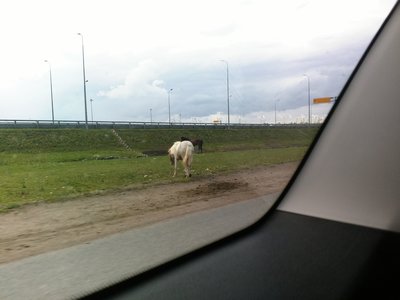 IMG_20150719_151139.jpg (420.62 КБ) Просмотров: 9573 IMG_20150719_151139.jpg