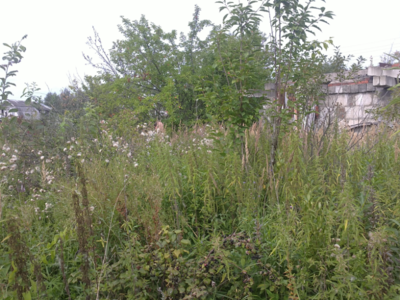 07082011045 800х600.png
