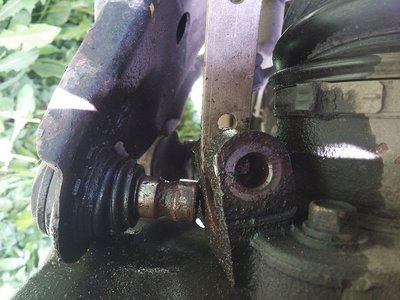 20150919_114658.jpg
