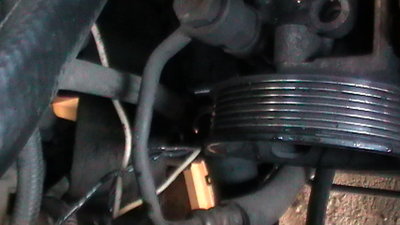 S1180006.JPG