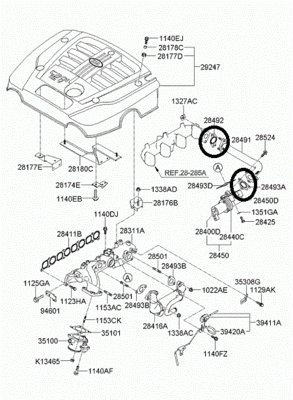 28283A11_1.gif