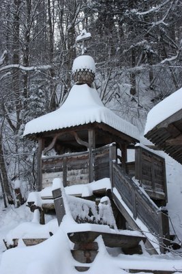 IMG_5448.JPG