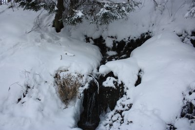 IMG_5450.JPG