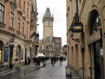 IMG_9172.JPG