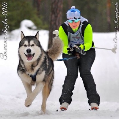 ipiY9s8MP0A.jpg (68.94 КБ) Просмотров: 4564 ipiY9s8MP0A.jpg