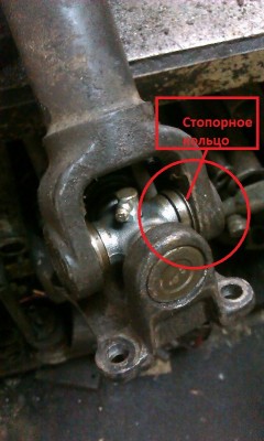 IMAG0142_2.jpg