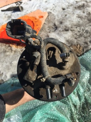 IMG_0992сж.jpg (80.98 КБ) Просмотров: 9502 IMG_0992сж.jpg