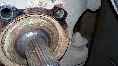 20160511_112603.jpg