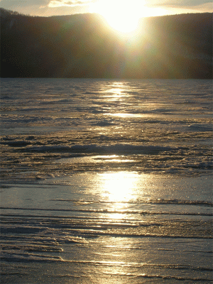 DSCN0722_.gif