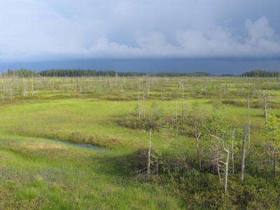 IMG_8185.JPG